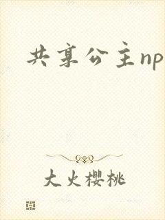 共享公主npc