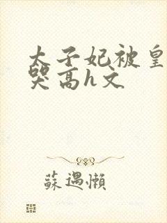 太子妃被皇上c哭高h文