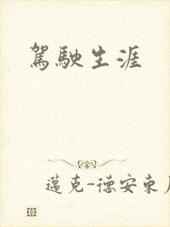 驾驶生涯