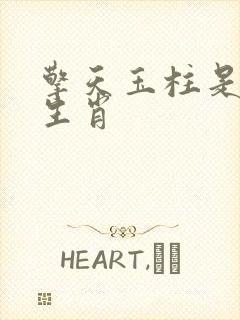 擎天玉柱是什么生肖封面