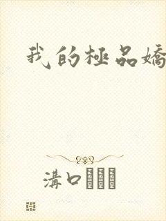 我的极品娇妻