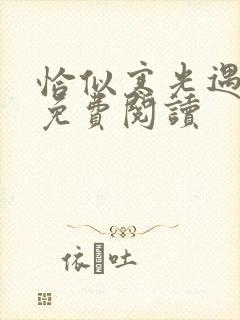 恰似寒光遇骄阳免费阅读封面