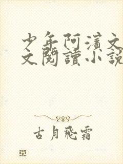 少年阿滨文全全文阅读小说