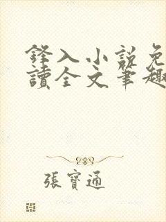 锋入小说免费阅读全文笔趣阁封面