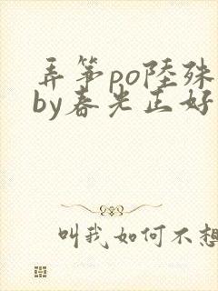 弄筝po陆殊词by春光正好封面
