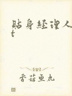 贴身经理人txt封面