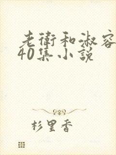 老卫和淑容1-40集小说封面