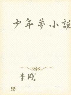 少年梦小说