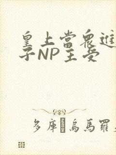 皇上当众进入太子NP主受封面