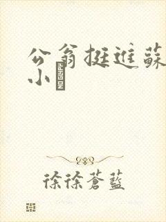 公翁挺进苏玥的小泬