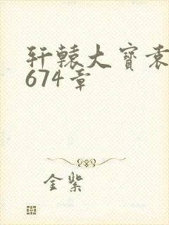 轩辕大宝袁雪妃674章