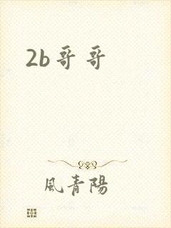 2b哥哥