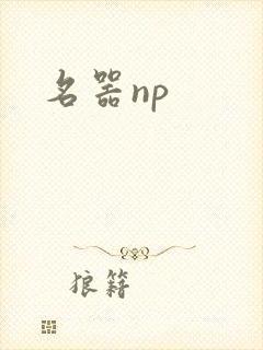 名器np