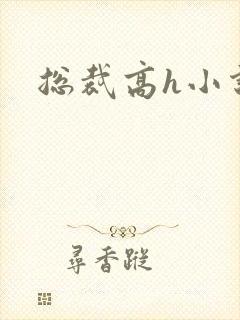 总裁高h小说