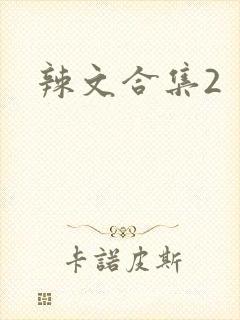 辣文合集2封面
