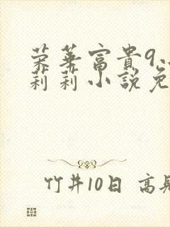 荣华富贵9小王莉莉小说免费阅读
