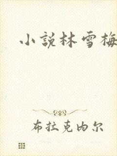 小说林雪梅