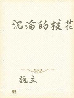 沉沦的校花封面