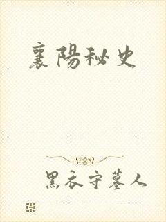 襄阳秘史
