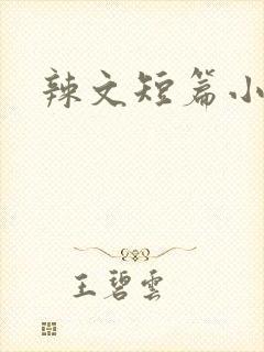 辣文短篇小说封面