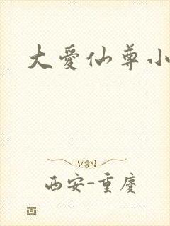 大爱仙尊小说封面