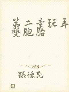 第二章玩弄少妇双胞胎