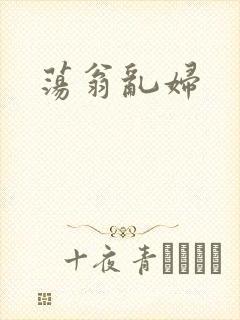 荡翁乱妇