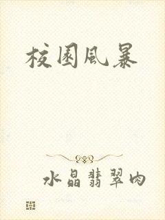 校园风暴