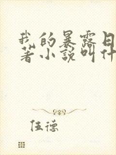 我的暴露日记原著小说叫什么