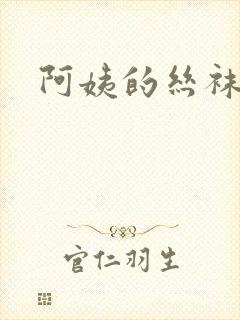 阿姨的丝袜小说
