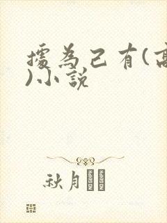 据为己有(高干)小说