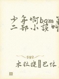 少年啊bgm第二部小说叫什么
