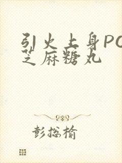引火上身POP芝麻糖丸封面