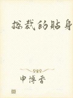 总裁的贴身女佣