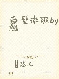 白璧微瑕by连翘