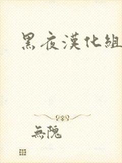 黑夜汉化组