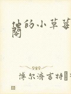 他的小草莓笔趣阁封面