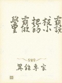 学霸把校霸往死里做的小说封面