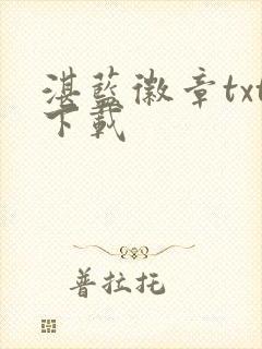 湛蓝徽章txt下载