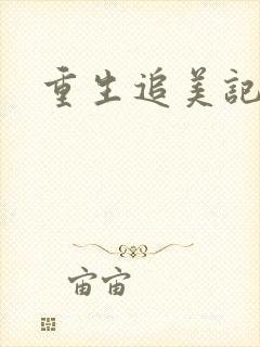 重生追美记2封面
