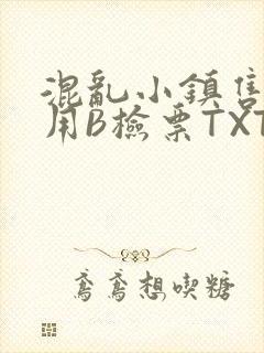 混乱小镇售票员用B检票TXT封面