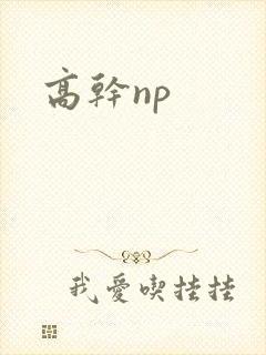 高干np