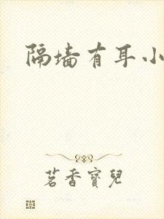 隔墙有耳小说