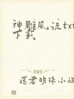 神雕风流txt下载封面