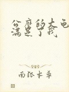 公么的大龟强大满足了我