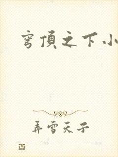 穹顶之下小说