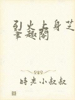 引火上身芝麻糖笔趣阁