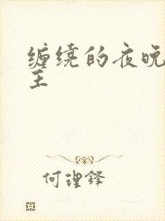 缠绕的夜晚双男主