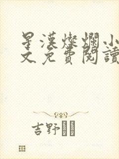 星汉灿烂小说全文免费阅读