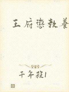 王府惩教养日常